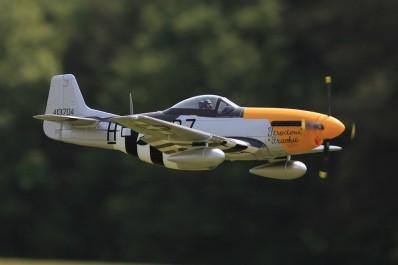 fms mustang 1400